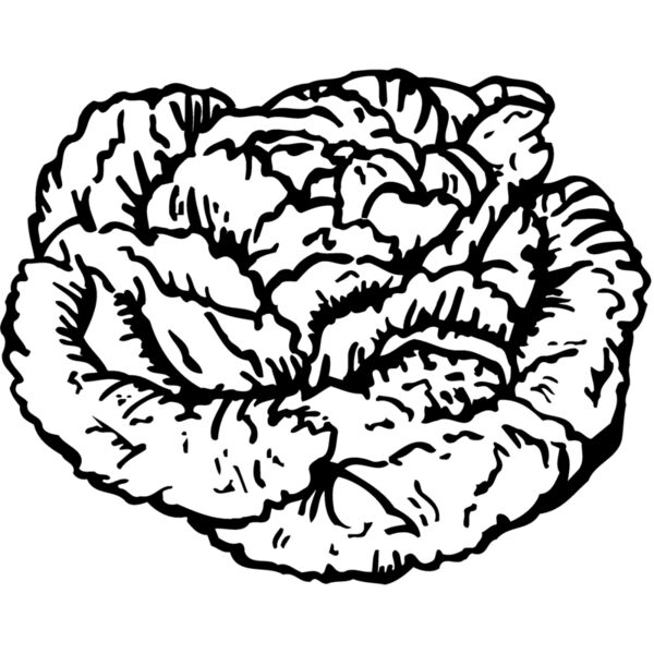 VEG016 Thumbnail